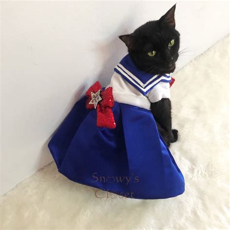 sailor costume cat|Sailor Costume for Cat .